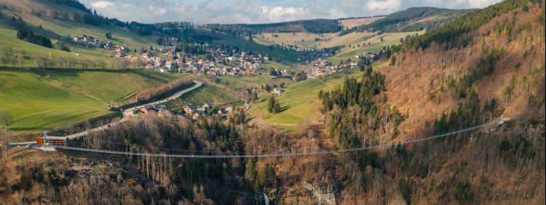 Vom barrierefrei ausgebauten Wanderweg am Fuß des Todtnauer Wasserfalls hast du einen beeindruckenden Blick auf die 60 Meter hohe Hauptstufe.