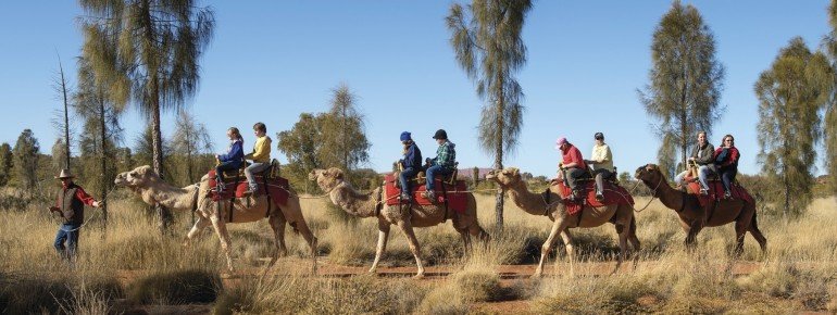 Uluru Camel Tours, Red Centre