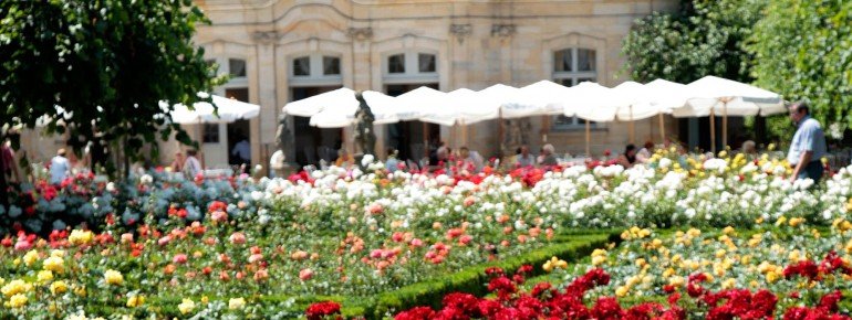 Blühendes Highlight: der Rosengarten.