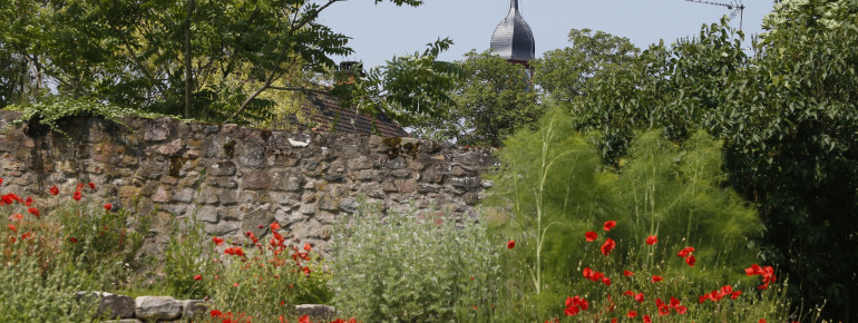 Kräutergarten nach dem Lorscher Arzneibuch