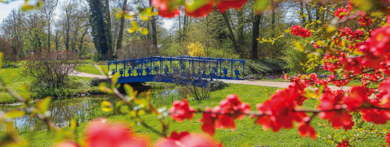 Fuchsienbrücke im Frühling