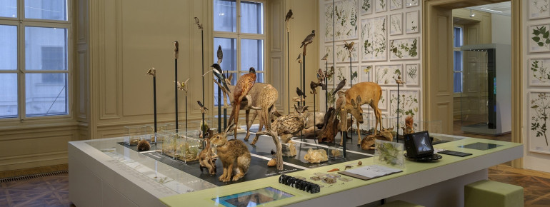 Ausstellungsansicht