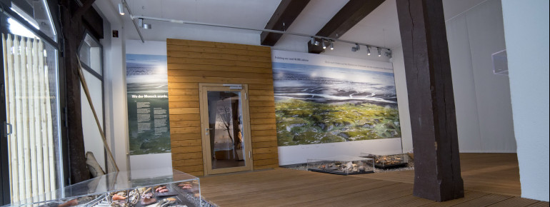 In diesem Raum kannst du die Lebensgrundlagen der Eiszeit bewundern.