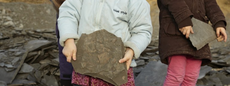 Im Außenbereich des Urweltmuseums können lebensgroße Dinosaurier entdeckt werden.