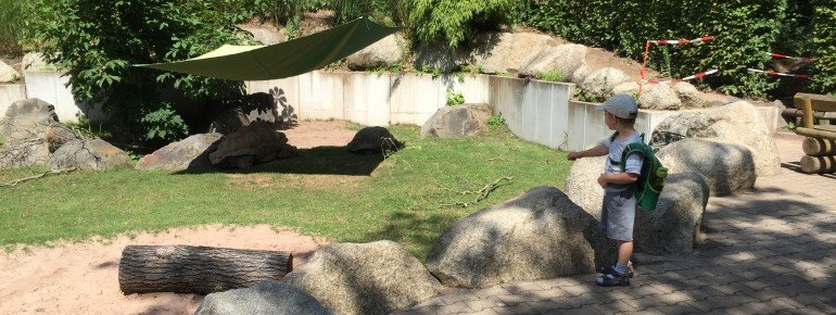 Schildkröten im Vivaium Darmstadt.