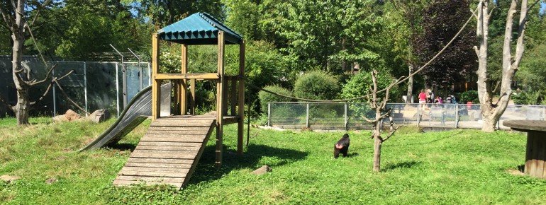 Das Affengehege am Ende des Rundwegs.