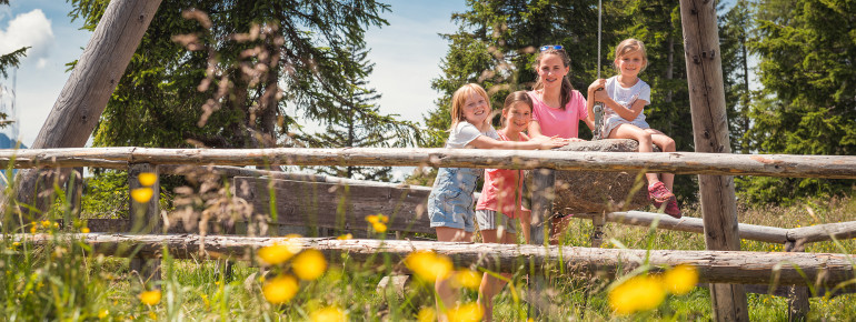 Riesensteinpendel an Wagrainis Grafenberg