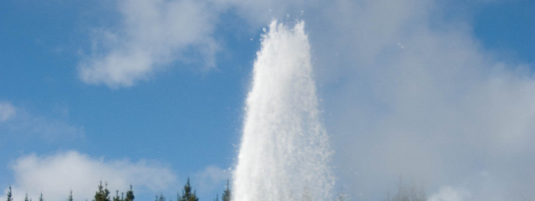 Der Lady Knox Geysir wird täglich zum Ausbruch gebracht.