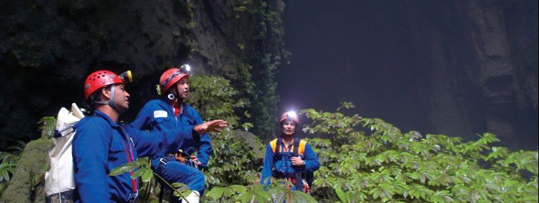 Die Waitomo Caves befinden sich auf der Nordinsel Neuseelands.