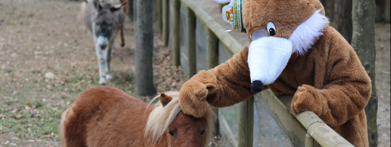 Ponys und andere Tiere kannst du in der Walderlebniswelt streicheln.