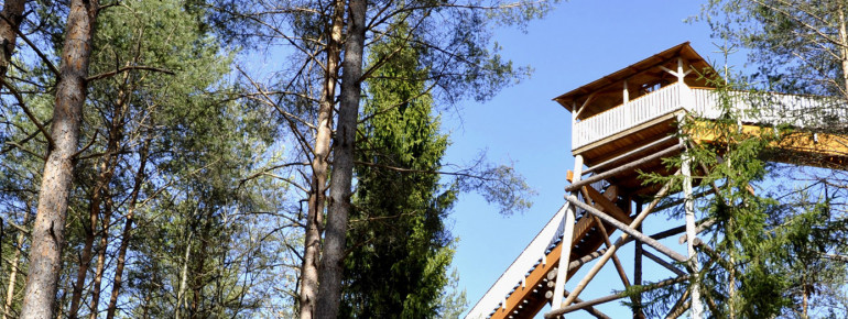 Der Baumwipfelpfad zählt zu den Hauptattraktionen des Freizeitparks.