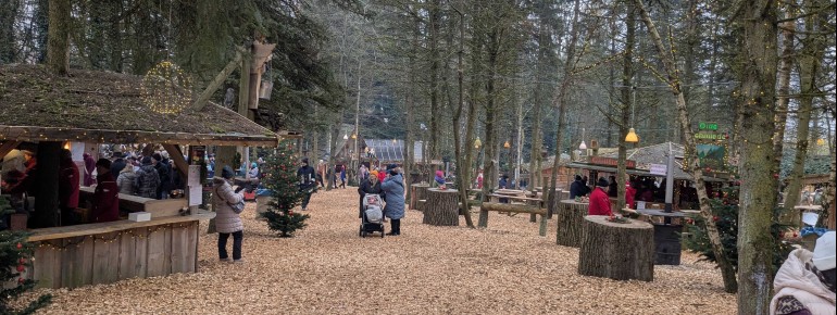 Die Waldweihnacht Forsthart verwandelt den Tannenwald in einen märchenhaft geschmückten Weihnachtswald – in liebevoller Handarbeit der Freiwilligen Feuerwehr und der ganzen Dorfgemeinschaft.