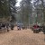 Die Waldweihnacht Forsthart verwandelt den Tannenwald in einen märchenhaft geschmückten Weihnachtswald – in liebevoller Handarbeit der Freiwilligen Feuerwehr und der ganzen Dorfgemeinschaft.