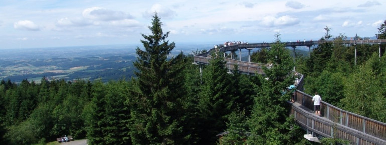 Nicht nur auf dem Baumwipfelweg, sondern auch auf dem Boden kannst du vieles erkunden und entdecken.