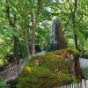 Der Wasserbaum Ockensen in Niedersachsen.