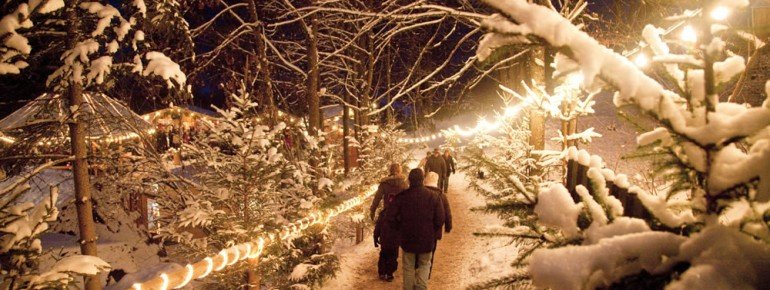 Verschneite Christbäume vermitteln eine winterliche Stimmung