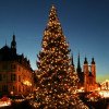 Der Weihnachtsbaum in Halle ist 15 Meter hoch.