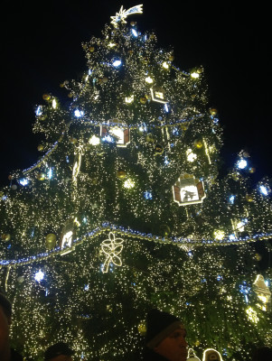 Der große Christbaum ist das Zentrum des Prager Weihnachtsmarktes.