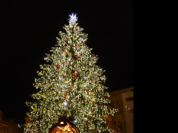 Der Weihnachtsbaum ist jedes Jahr unterschiedlich geschmückt.