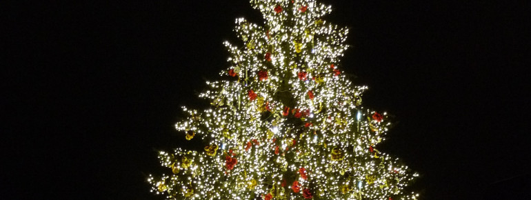 Der Weihnachtsbaum ist jedes Jahr unterschiedlich geschmückt.