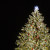 Der Weihnachtsbaum ist jedes Jahr unterschiedlich geschmückt.