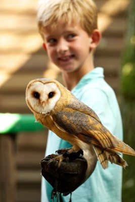 Auch Eulen gibt es im Tierpark.