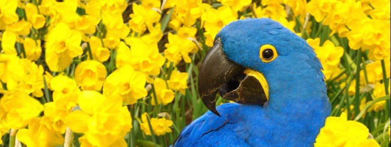 Weltvogelpark Walsrode • Ausflugsziele Walsrode