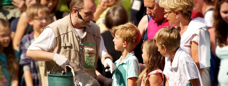 Bei der Pinguin-Fütterung