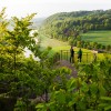 Die Aussichtsplattform ist der perfekte Abschluss der Wanderung durch den Wald um die Hannoverschen Klippen.