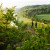 Die Aussichtsplattform ist der perfekte Abschluss der Wanderung durch den Wald um die Hannoverschen Klippen.