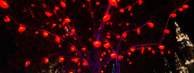 Auch die Bäume leuchten in Wien in bunten Farben.