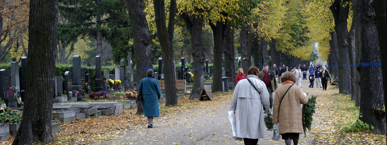Der Wiener Zentralfriedhof zu Allerheiligen.