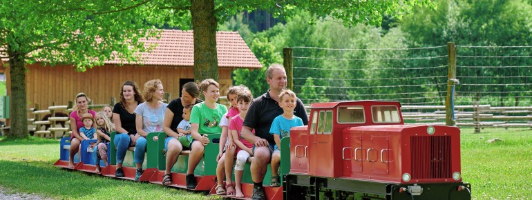 Mit der Bimmelbahn entspannt den Park erkunden.