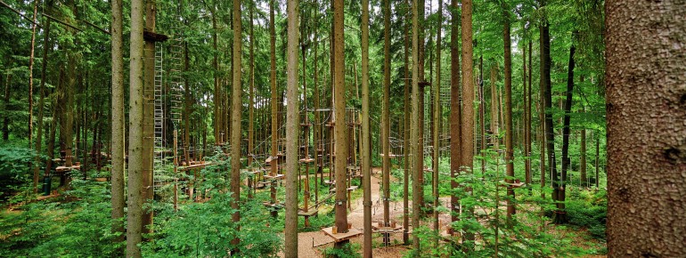 Hoch hinaus gehts im Hochseilgarten
