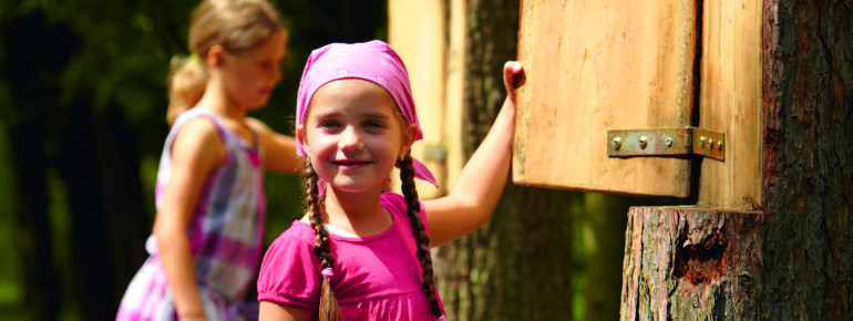 Auf dem Walderlebnis-Pfad lernen die Kids an 20 Stationen das Ökosystem Wald kennen.