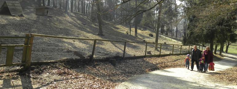Ein wenig Kondition ist von Nöten, zum Schluss geht es steil bergauf.