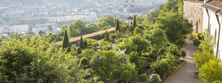 Der botanische Garten wurde im Jahr 1998 eröffnet.