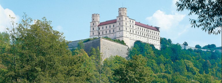 Die Burganlage liegt auf dem Willibaldsberg, über dem Altmühltal.