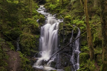 Der Windberg-Wasserfall – ein idyllisches Naturziel am Rand von St. Blasien.