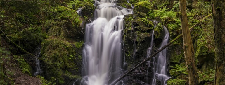 Der Windberg-Wasserfall – ein idyllisches Naturziel am Rand von St. Blasien.