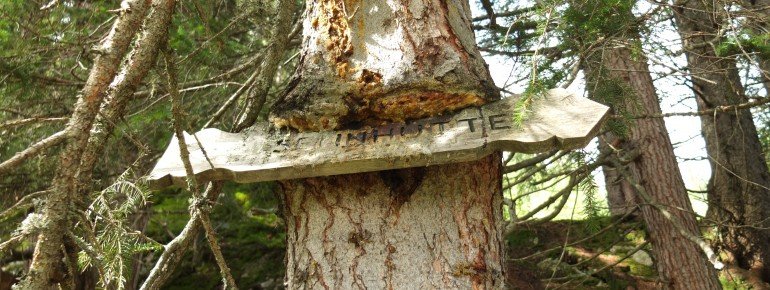 Der gefräßige Baum