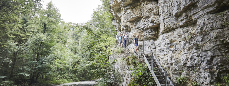 Die Wutachschlucht ist Heimat einer vielfältigen Tier- und Pflanzenwelt.