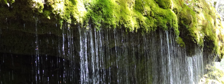 Als Natur- und Vogelschutzgebiet steht die Schlucht unter besonderem Schutz.