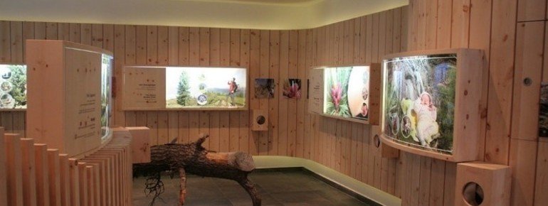 Ausstellungsraum der Zirbenausstellung in Jerzens