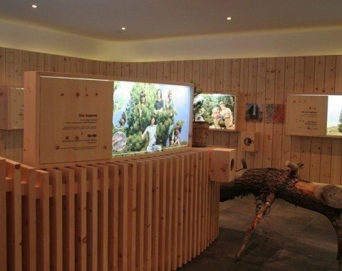 Ausstellungsraum der Zirbenausstellung in Jerzens