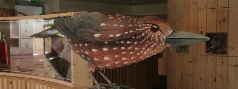Zirbenausstellung in Jerzens