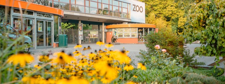Der Zoo Dresden gehört zu den ältesten Zoos in Deutschland.