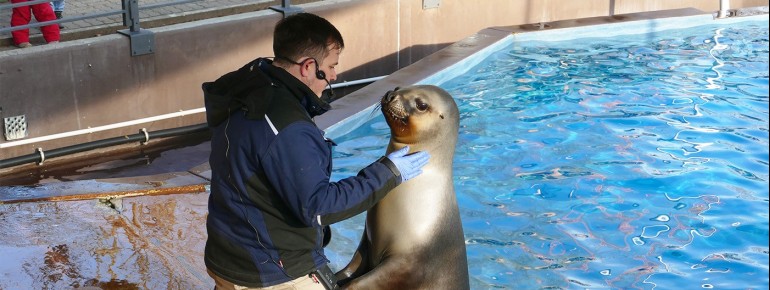 Durch das medizinische Training bauen die Tierpfelger eine besondere Verbindung zu den Tieren auf.