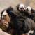 Das Weißgesichtskrallenäffchenmännchen mit ihrem Nachwuchs.