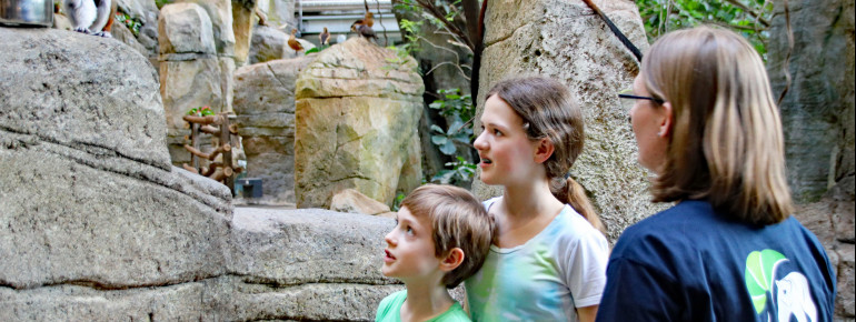 Der Zoo bietet Themenführungen, Kurse und Workshops zu den verschiedensten Bereichen an.